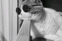 惨不忍睹！阿莫林26次在英超对阵非升班马球队，只赢得其中4场