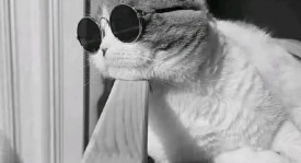 惨不忍睹！阿莫林26次在英超对阵非升班马球队，只赢得其中4场